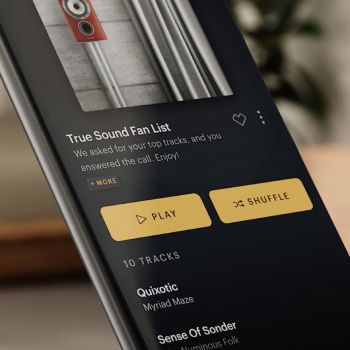 Bowers & Wilkins Zeppelin